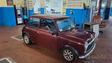 Mini Rover 1.0 Asi Crs
