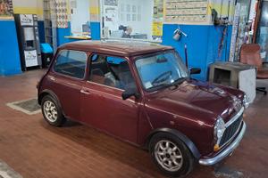 Mini Rover 1.0 Asi Crs