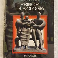 Principi di biologia - Campbell, Neil - Zanichelli