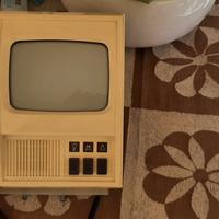 Monitor Elvox 6" con cornetta