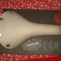 Brooks England Cambium C17