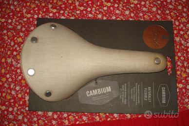 Brooks England Cambium C17