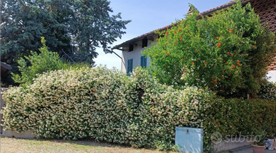 Casa semi-indipendente San Marzano Oliveto