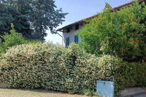 Casa semi-indipendente San Marzano Oliveto