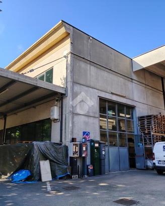 CAPANNONE A SAVIGNANO SUL RUBICONE