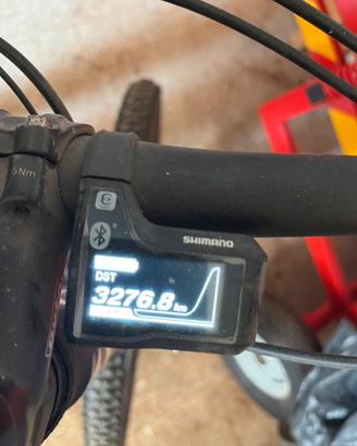 Bici elettrica