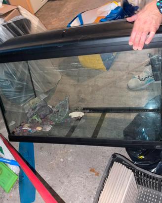 Acquario 132 litri