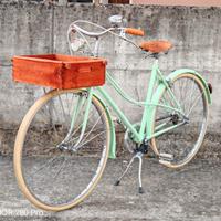 Bici da donna retrò 