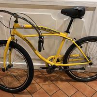 bicicletta 100x100 Brumotti