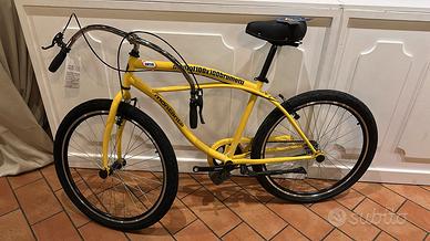 bicicletta 100x100 Brumotti