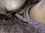 Immagine 13