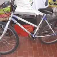 bici Mountain bike 26 bianca viola