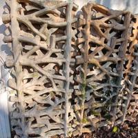 Recinzione ramificata