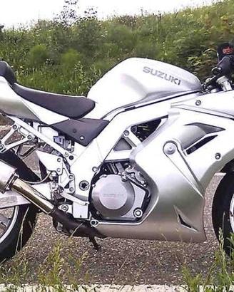 Special Titanium Roadsitalia Suzuki TL 1000 S-R