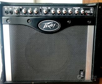 Amplificatore Peavey ENVOY 110