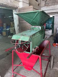 Pigiatrice uva con trasporto vinazze in tinazzo.