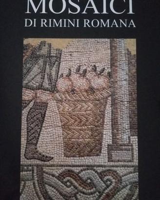 Mosaici di Rimini Romana