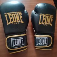 guantoni da box leone