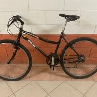 Bicicletta Mountain Bike Bianchi "FLASH gamma"