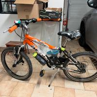 Coppia biciclette da 20”