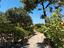 Immagine 23