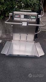 piattaforma disabile