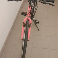 Bici MTB o anche stradale.