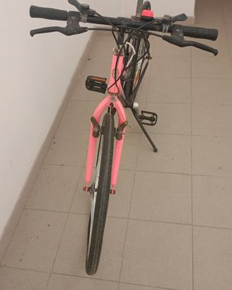 Bici MTB o anche stradale.