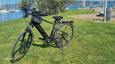 CITY BIKE ARMONY VIAREGGIO