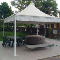 Gazebo 300x300 cm