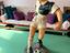 Immagine 1