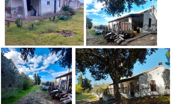 Casale/cascina con terreno da 46600 mq a dolianova