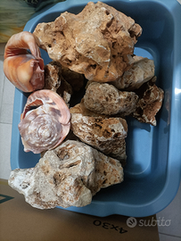 Rocce travertino acquario ciclidi