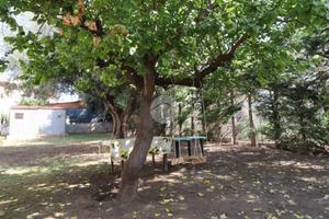 5 LOCALI A PESCARA