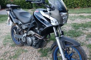 Aprilia pegaso 