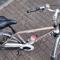Bicicletta Torpado Modello T432