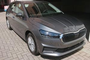 Skoda Fabia 1.0 Grigio metallizzato Benzina