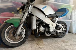 MINIMOTO POLINI