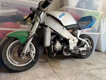 MINIMOTO POLINI