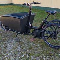 cargo bike Urban Arrow Bosch elettrica 