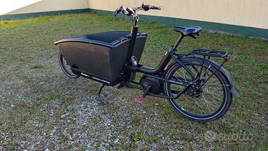 cargo bike Urban Arrow Bosch elettrica 