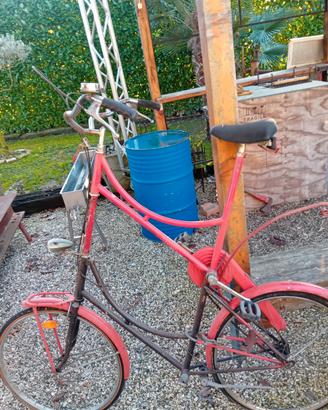 bicicletta 