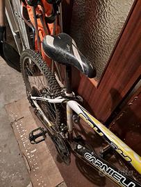 Mountain bike ragazzo