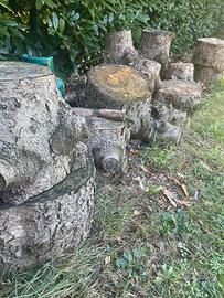 Legna di abete per milleusi