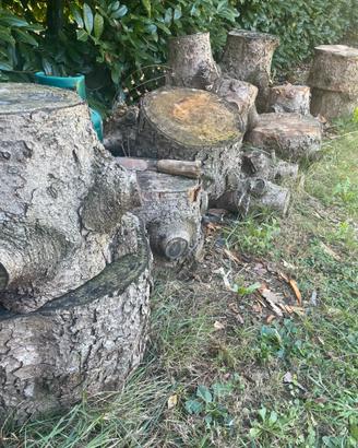Legna di abete per milleusi