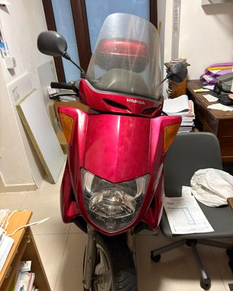 Honda foresight 250