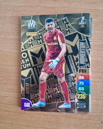 card Panini Adrenalyn Ligue1 France RULLI