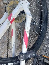 bicicletta ragazza 