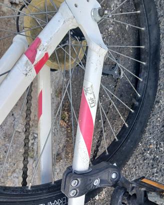 bicicletta ragazza 