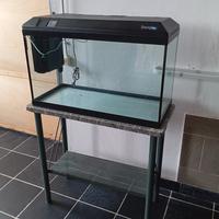 acquario